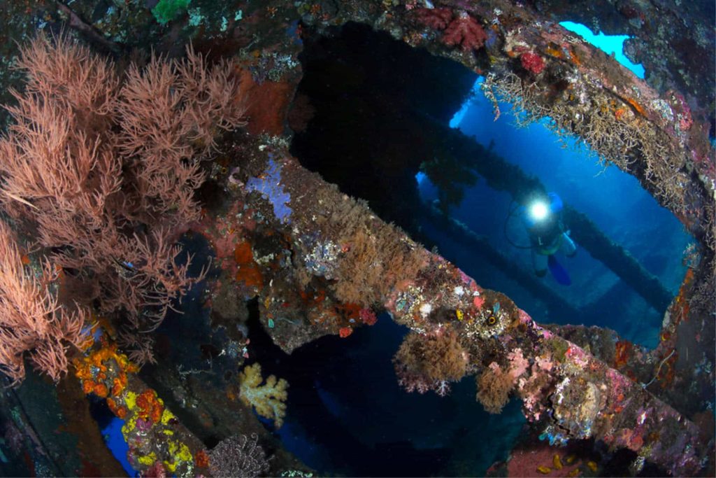 USAT liberty wreck, Bali