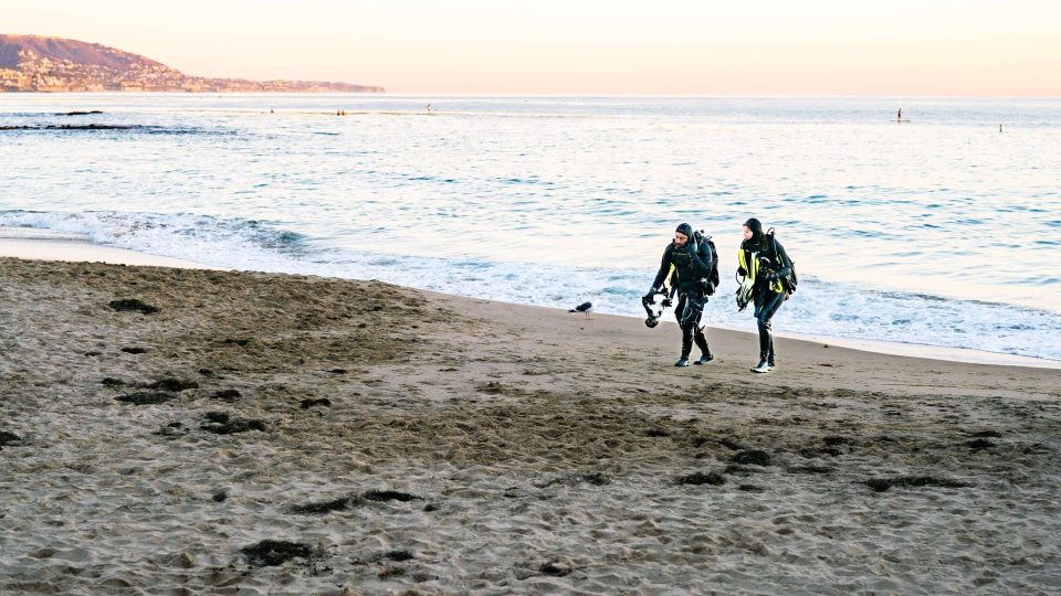 Scuba divers leaving water on beach