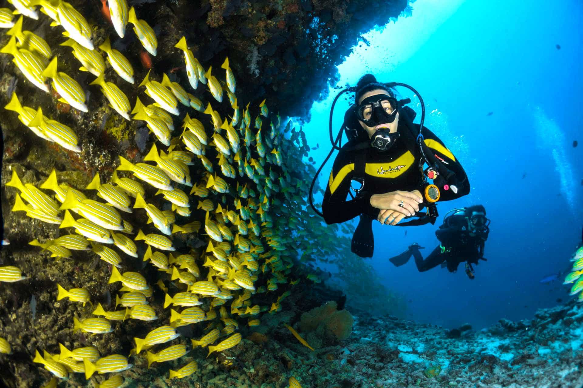 Scuba divers swimming through reef fish