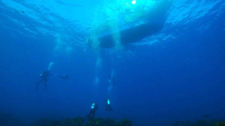 Scuba divers underwater around boat