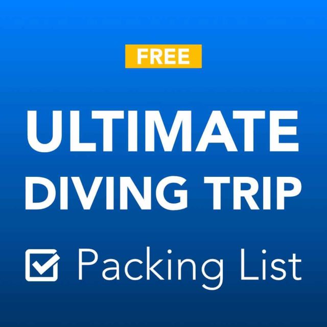 Scuba diving trip packing list download