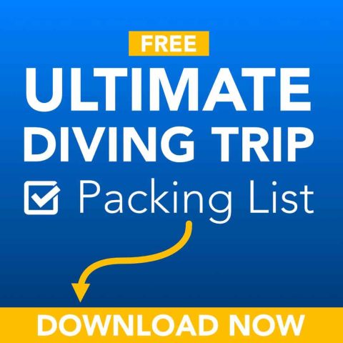 Scuba diving trip packing list