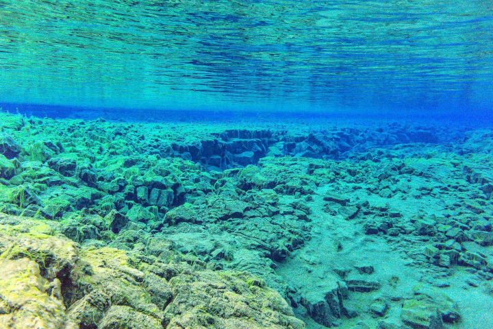 Underwater view at the Silfra rift in Iceland