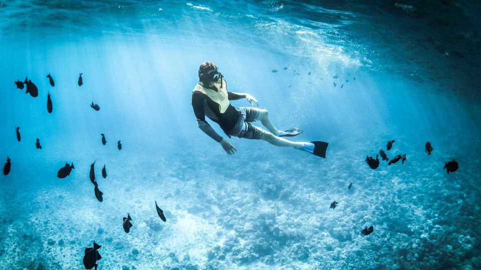 Snorkeler among the fish