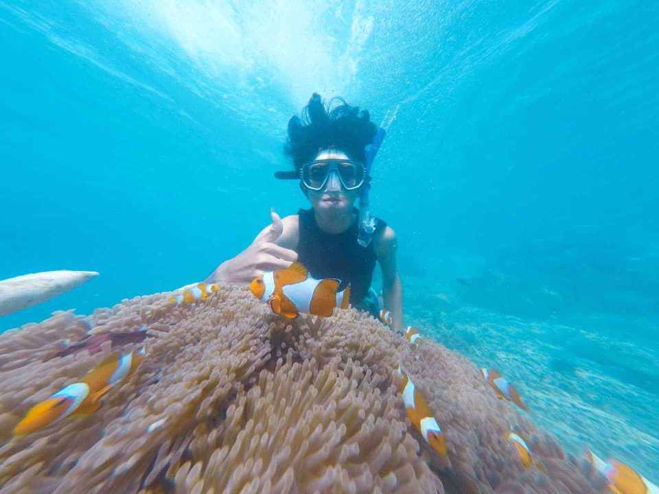 Snorkeler holding breath underwater in front of anemone with clown fish