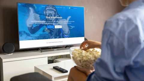 The 10 best diving movies in 2025