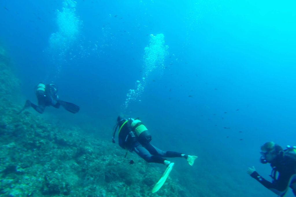 Group of student divers