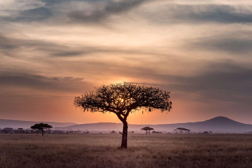 Sunset over Serengeti, Tanzania