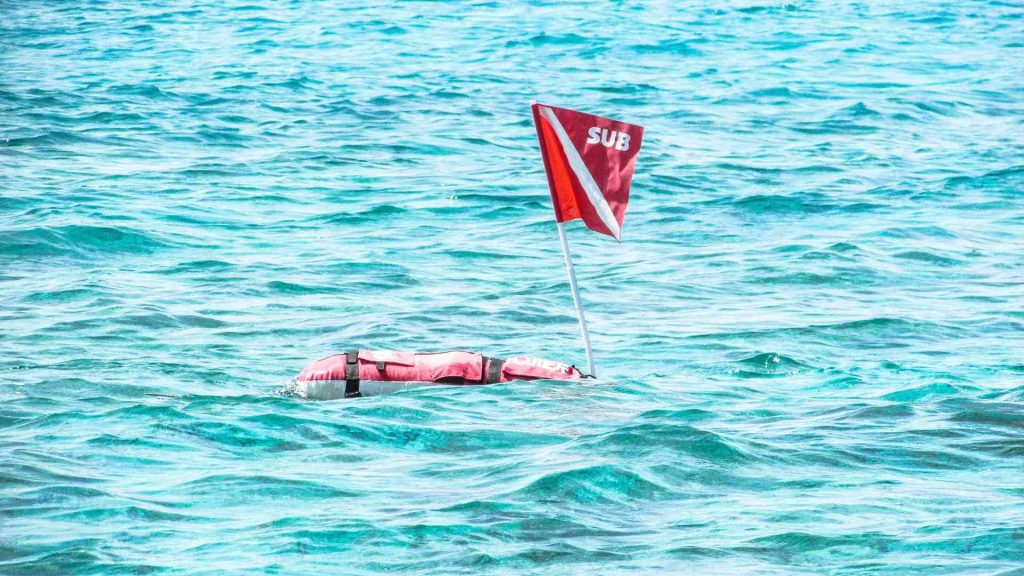 Surface Marker Buoy