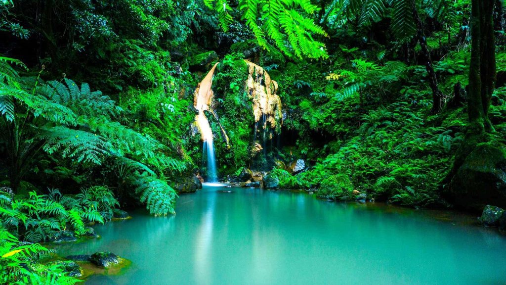 Europe 2 Waterfall on the Azores