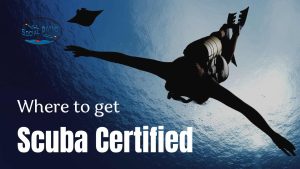 Where to get scuba certified