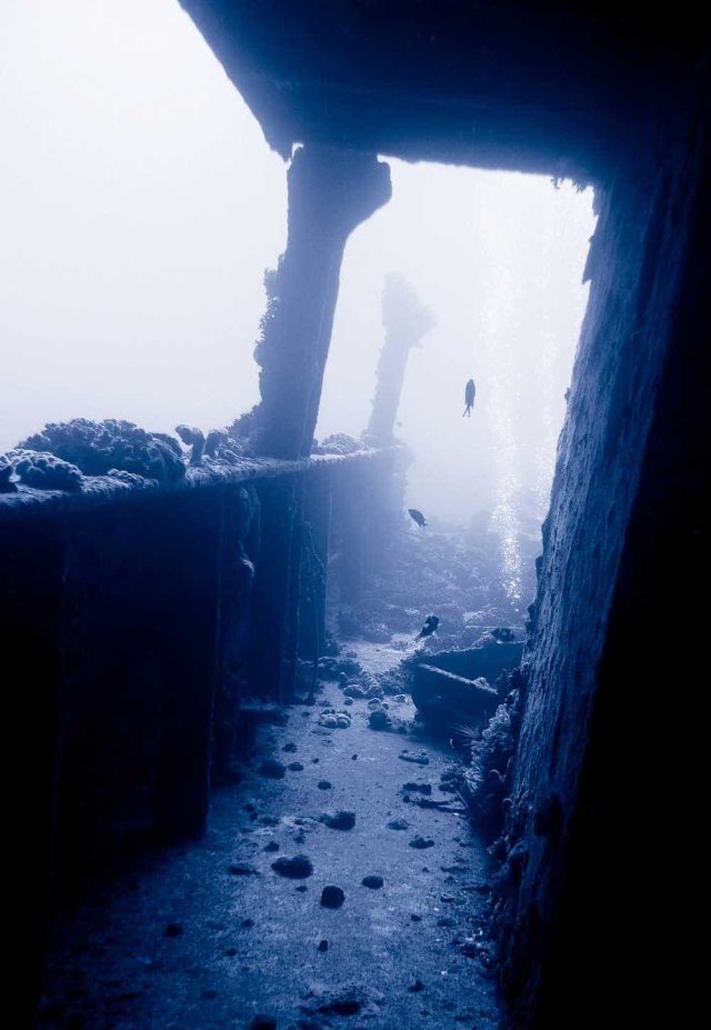 Railing of underwater wreck